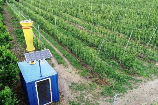 Meteoroloji Bölge Müdürü açıkladı: ‘Yağmur bombası...