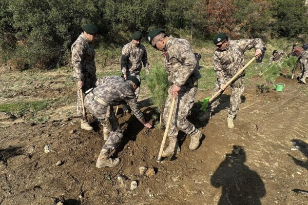 Aydın’da 33 şehit polis anısına 333 fidan di...