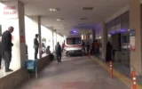 Kahreden son: 2 kardeşin üzerine demir profil düştü! Kahreden son: 2 kardeşin üzerine demir profil düştü!