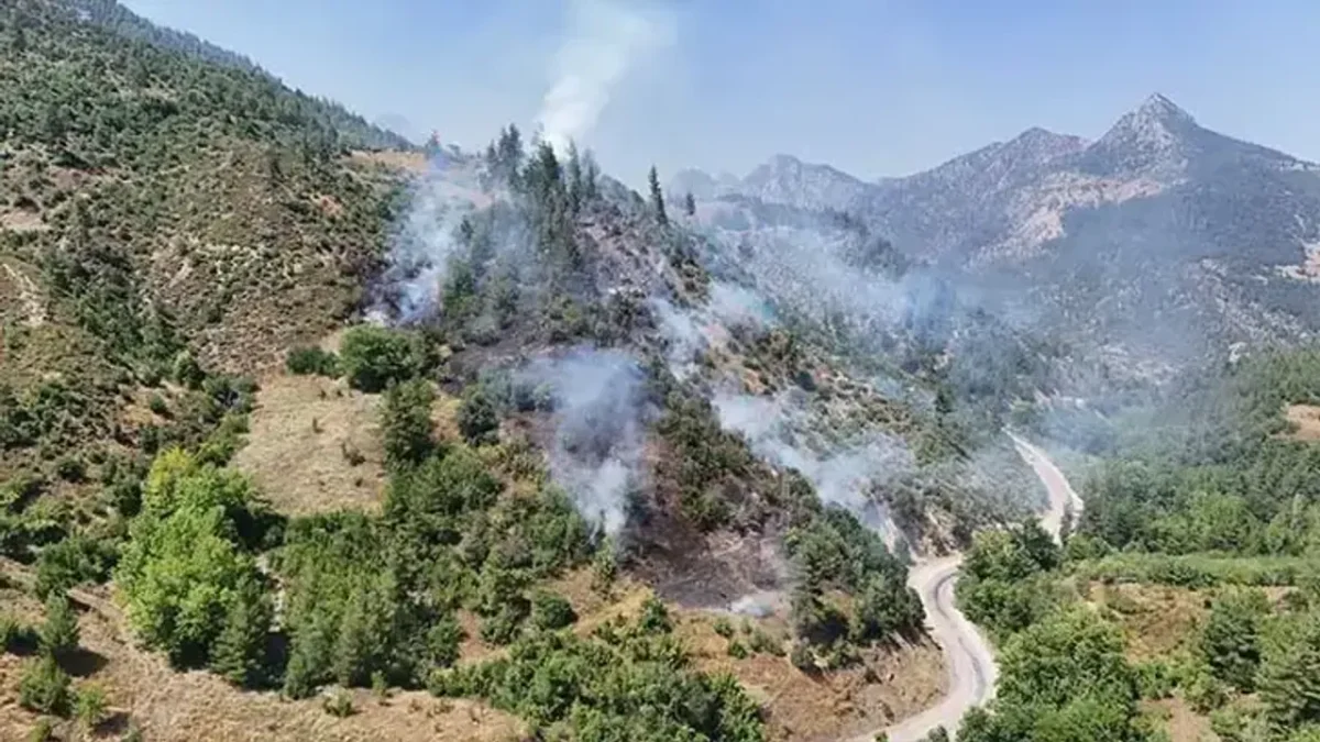 Adana’da orman yangını! Adana’da orman yangını!