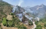 Adana’da orman yangını!