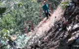 CHP ilçe başkanı ve oğlu fotokapana yakalandı: Kenevir tarlasını sularken görüntülendi!
