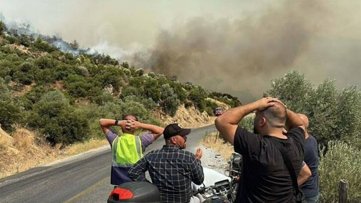 Aydın’daki yangın kontrol altında!