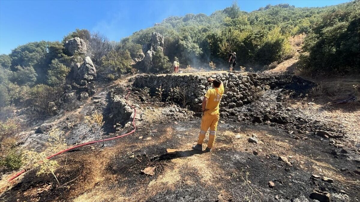 Kemalpaşa’da makilik yangını kontrol altına alındı