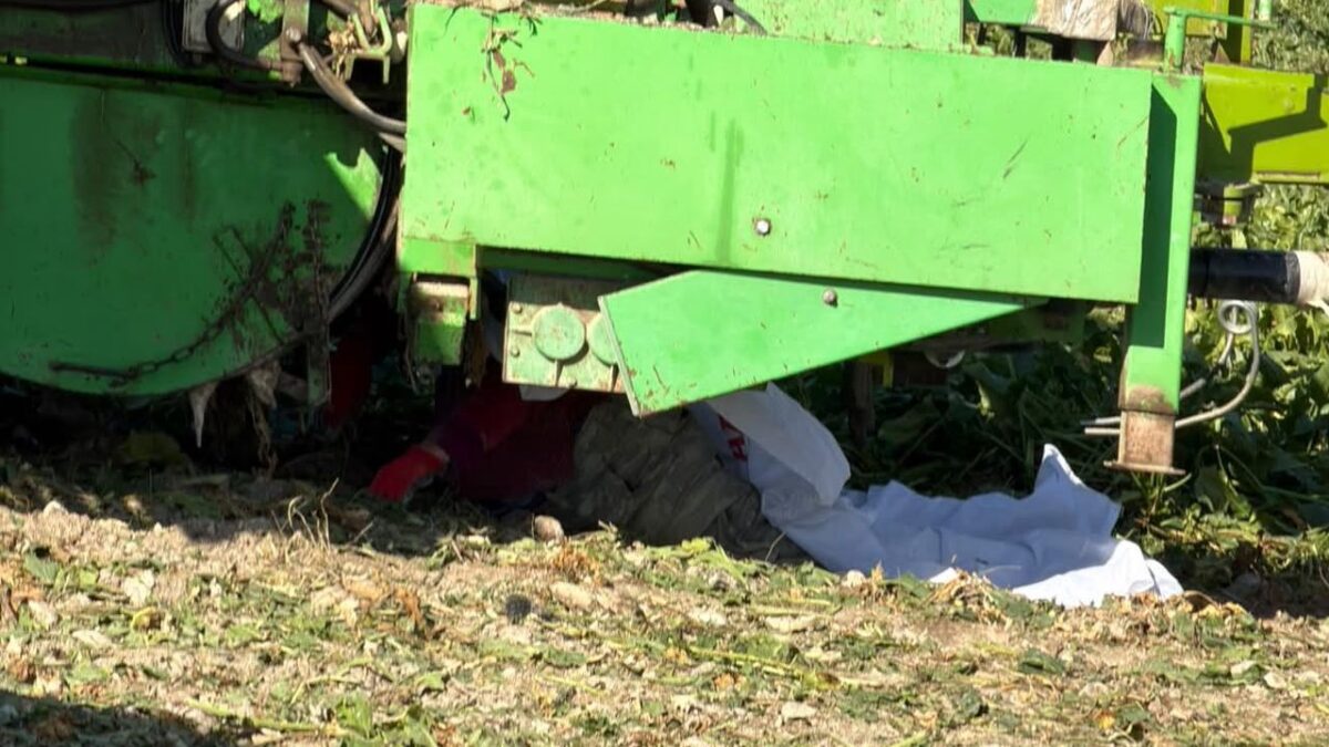 Tarlada can pazarı: 3 çocuk annesi çiftçi yaşamını yitirdi
